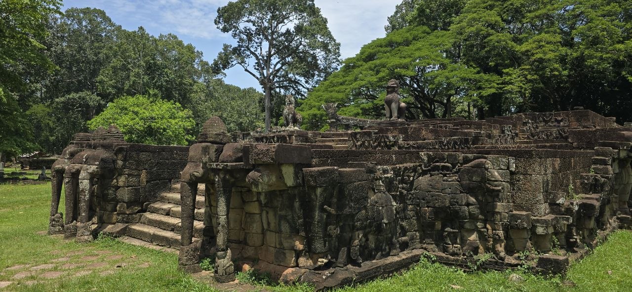 La terrace des éléphants 