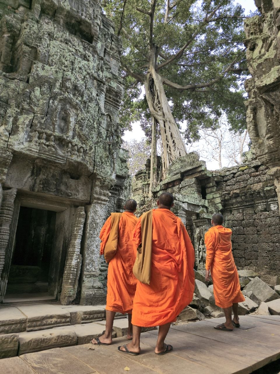 Ta Prohm