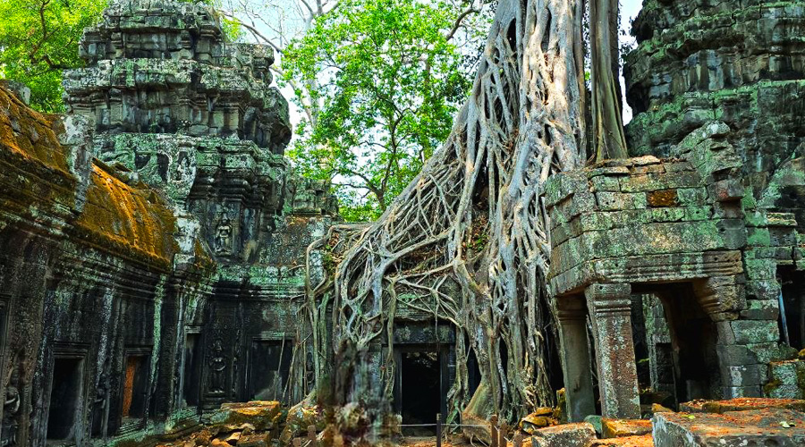 Ta Prohm