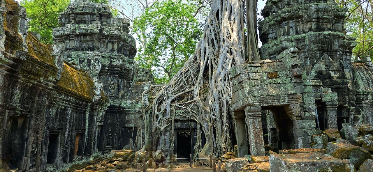 Temple de Ta Prohm 